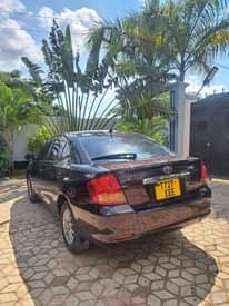 A picture of 0783561320