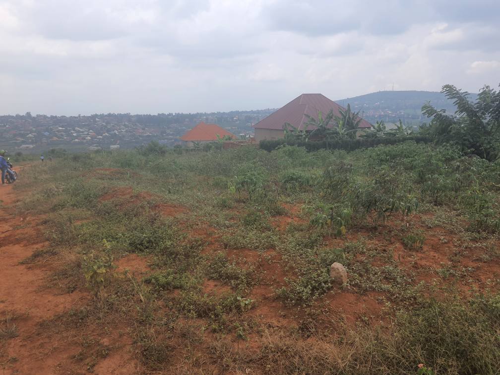 land
