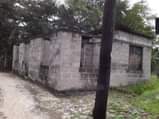 A picture of PAGALE LINAUZWA NA BANK CHANIKA MGEULE NI MITA 250 TOKA