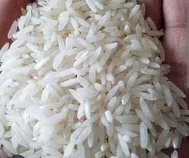 pishori rice