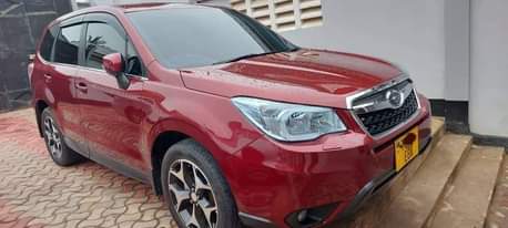 A picture of Subaru Forester 2013