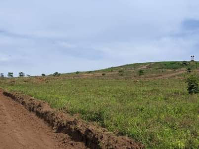 A picture of 50 100ft plots at our kakiri town estate