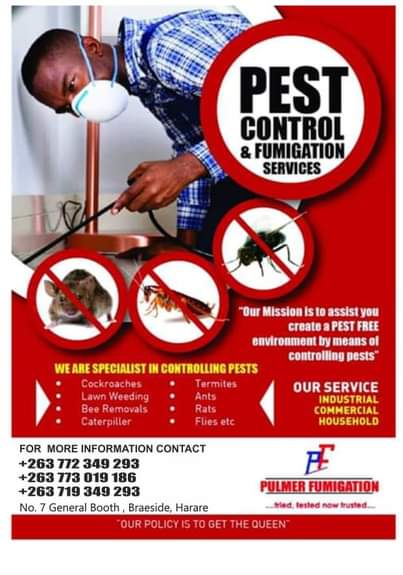 property commercial