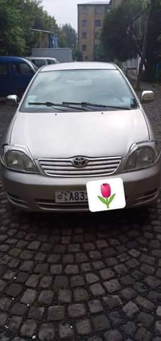 cars