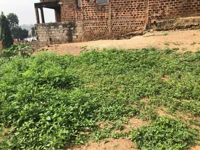 A picture of Matuga town