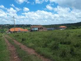 A picture of Land