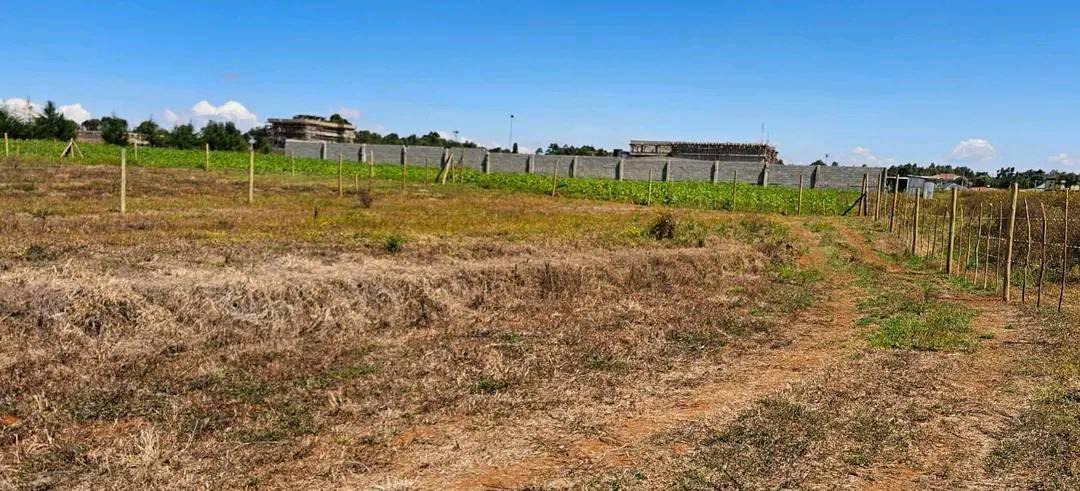 residential plots