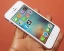 A picture of iPhone 5 16GB