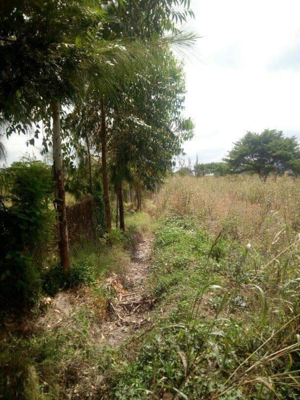agricultural