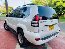 A picture of PRADO DIAMOND 0652438053