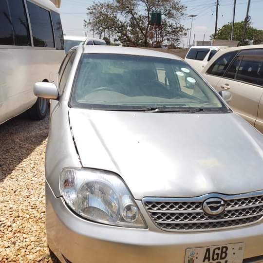 used toyota runx