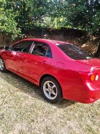 A picture of Toyota corolla 2010