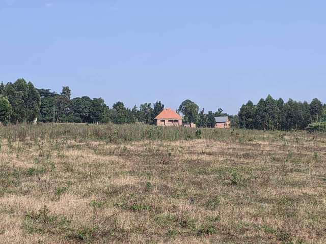 A picture of Plot