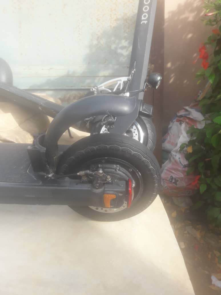 A picture of Scooter