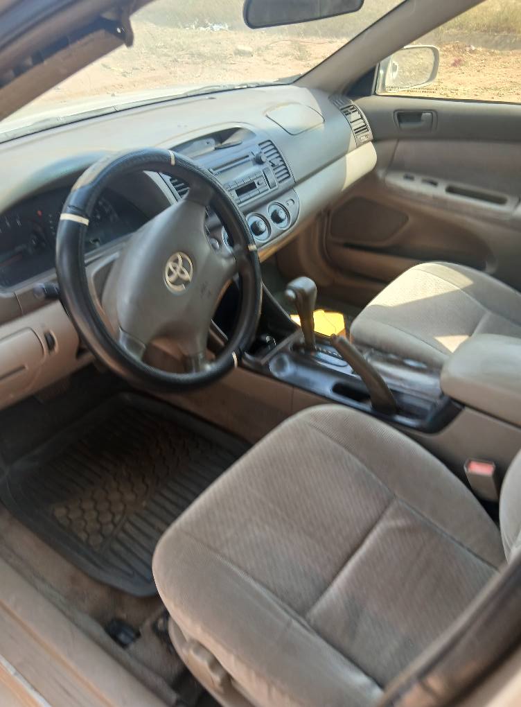 A picture of Camry Big Daddy