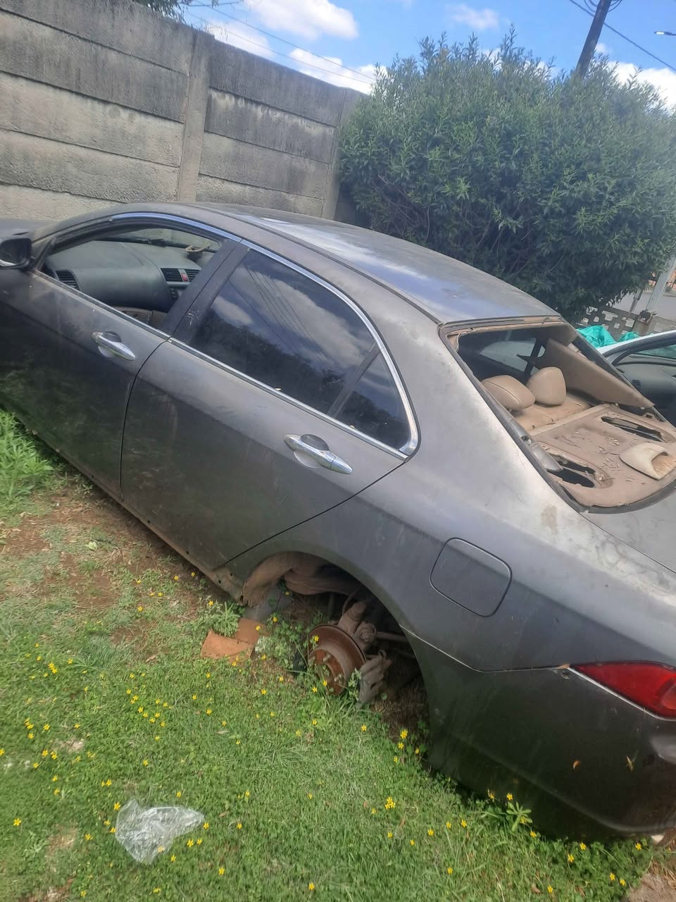 honda accord