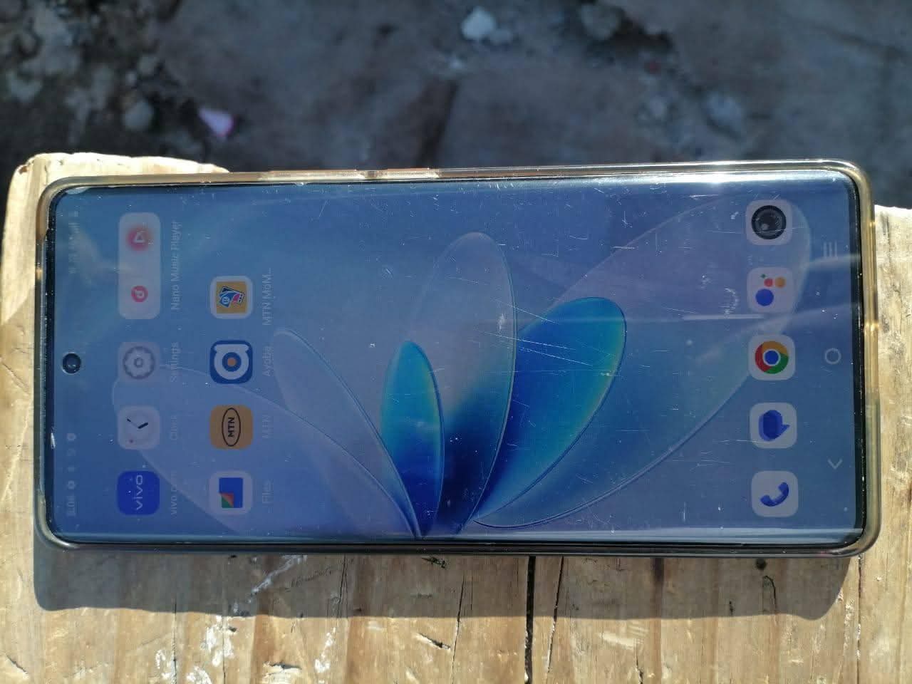 vivo