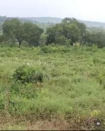 A picture of Land