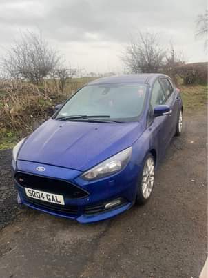 Ford P.