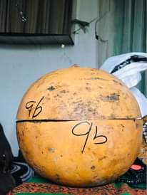 A picture of Ose osole