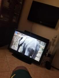 A picture of Toshiba flat tv inch 42