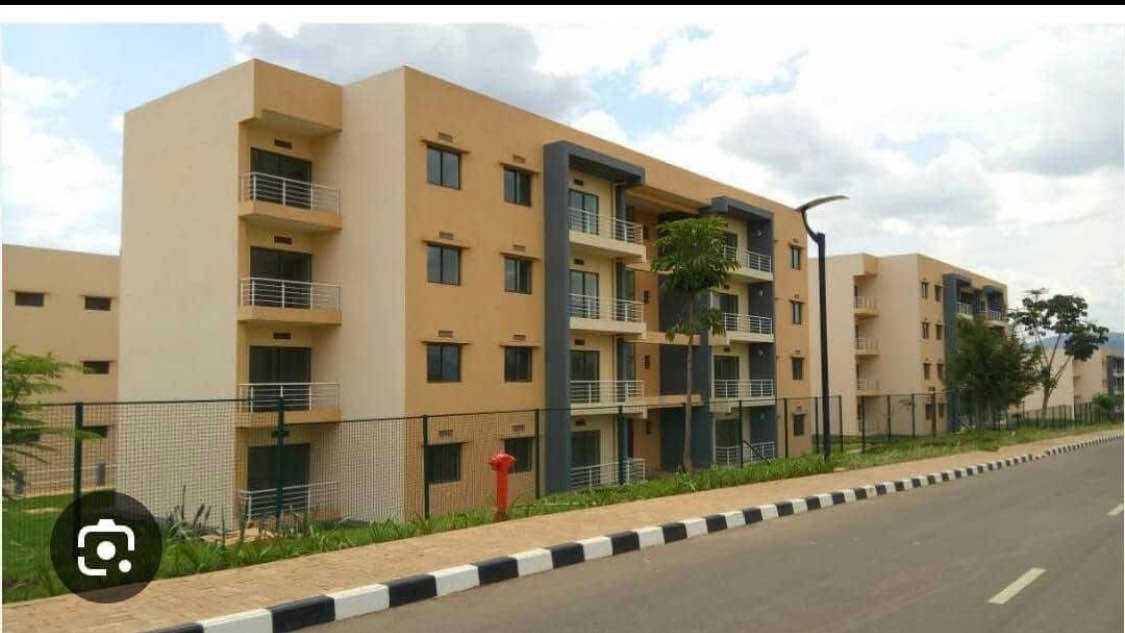 houses for rent
