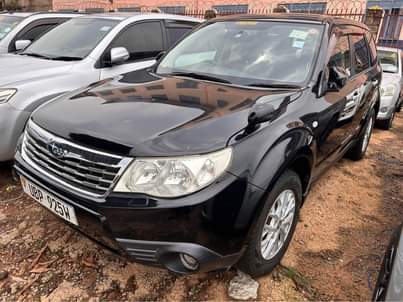 A picture of Subaru Forester