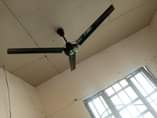 A picture of Majohe viwege