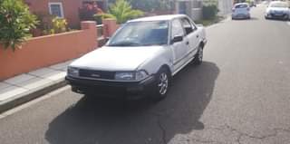 Mikhail J.
