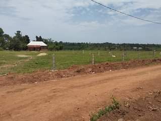 A picture of We sale plots
