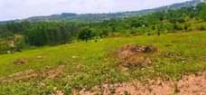 A picture of 50BY100 AT 3 5M GOBERO SEGAGGA ESTATE JUST AFTER KAKIRI