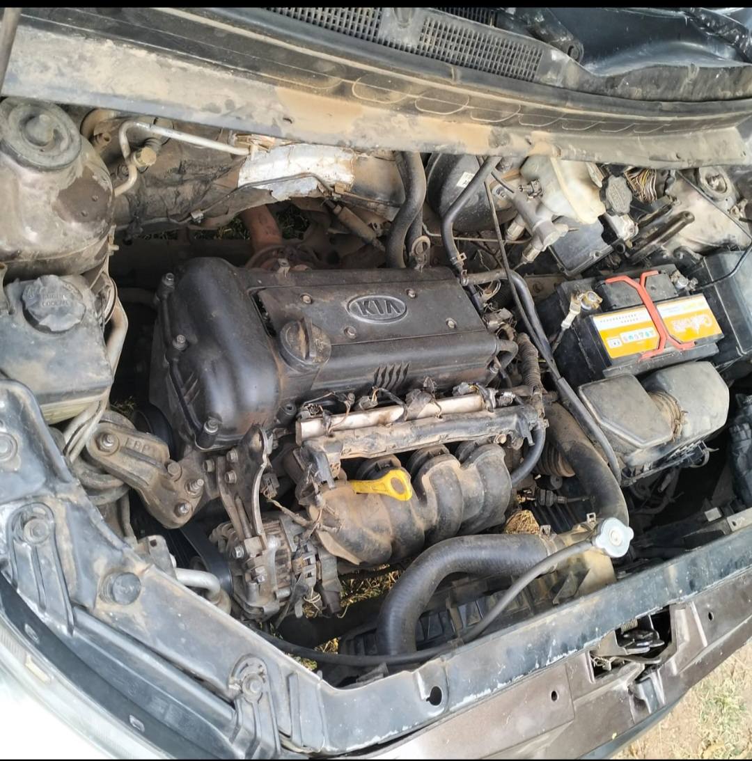 A picture of Kia rio