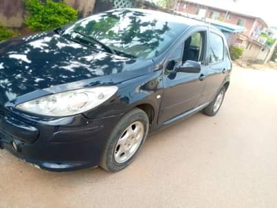 A picture of Peugeot 307 manual