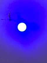 A picture of Smart bulb