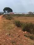 A picture of Plots on market with lake view in Nkumba