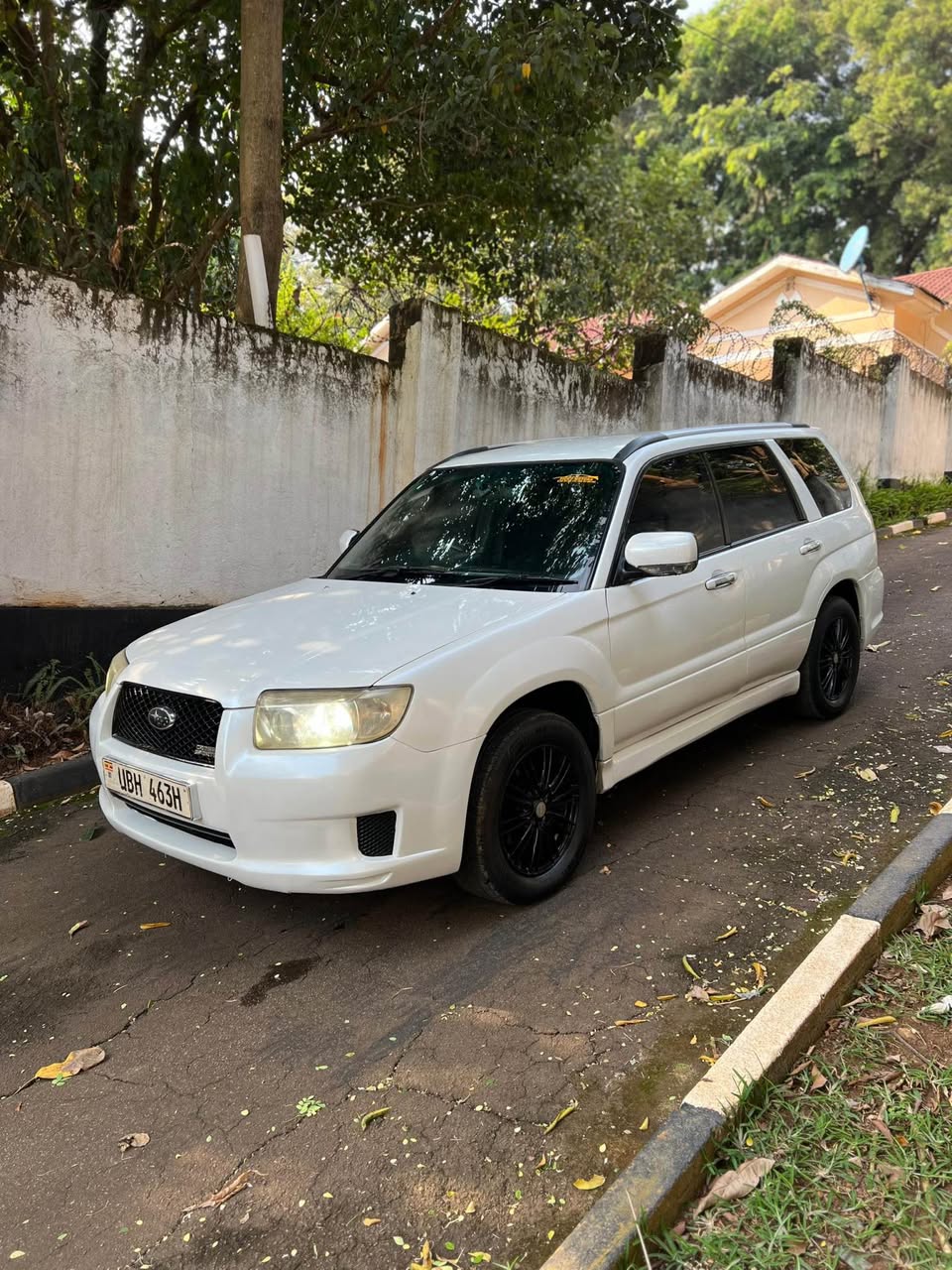 A picture of Subaru Cross spot