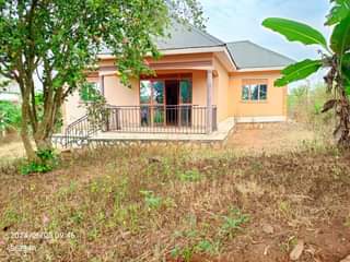 A picture of 3 BEDROOM ON SALE IN SSENTEMA AT 35MILLION