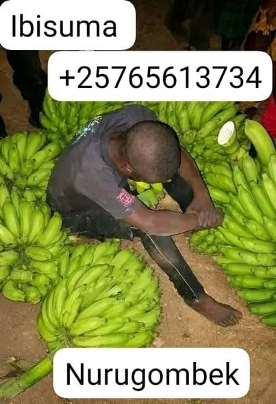 A picture of Kaze kwamuganga makoma 1 kubibwe turabagaruriza 2 kubafise inyatsi yokutaronka