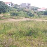 Ssentumbwe B.