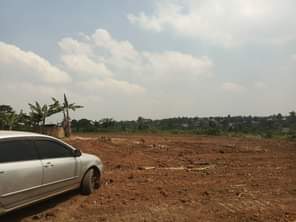 A picture of Quick sale size 100by100ft with land title busubuzi price 22m