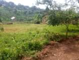 A picture of Get your own plot today Quick sale titled plot on