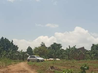 A picture of  Quick sale matugga Kigogwa migadde LC 1 Size 100by50ft