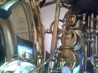 A picture of alto saxophone
