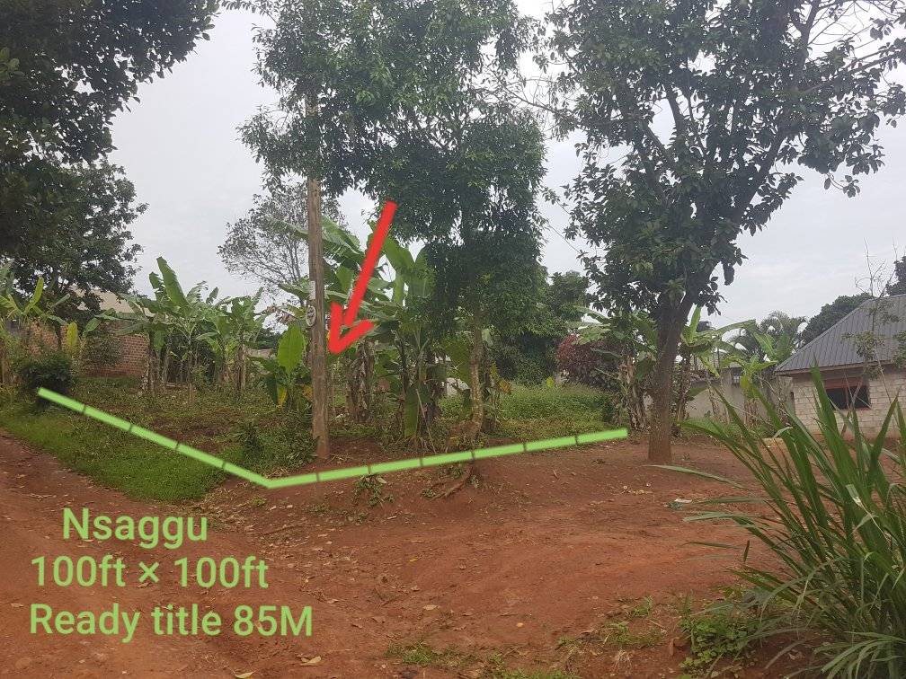 A picture of Cheap plots