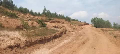 kinyinya accommodation