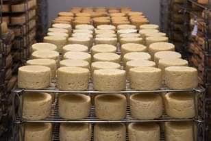 A picture of Cheese