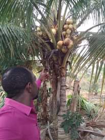 A picture of KARIBUNI MZENGA MLANDIZI NA KIBAHA MKOA WA PWANI