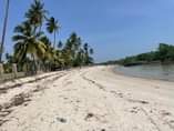 A picture of BAGAMOYO BEACH PLOT