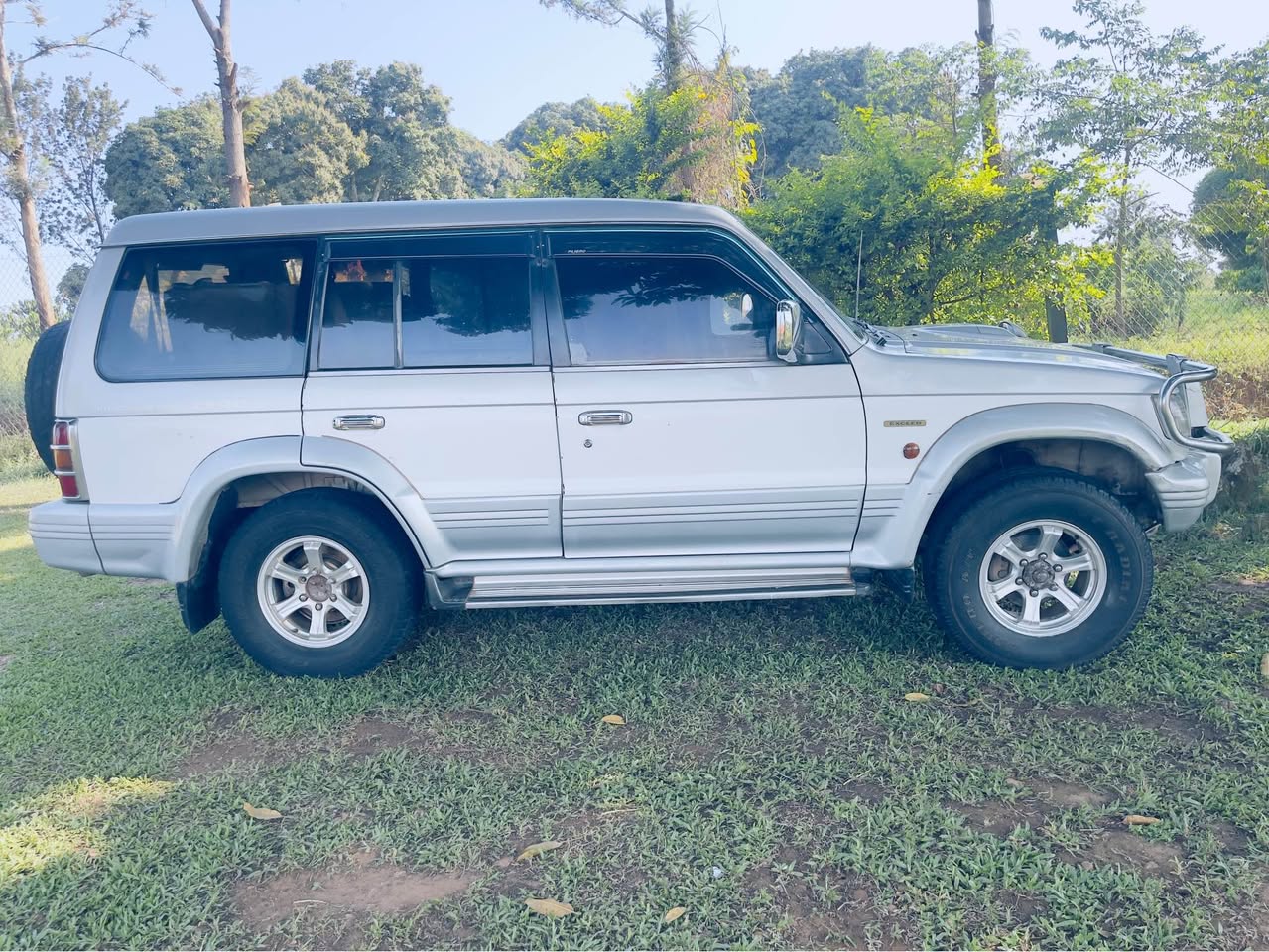 A picture of Pajero