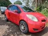 A picture of Vitz